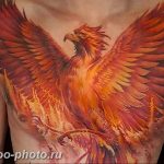 фото идеи тату феникс 18.12.2018 №533 - photo ideas tattoo phoenix - tattoo-photo.ru