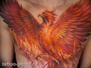 фото идеи тату феникс 18.12.2018 №533 - photo ideas tattoo phoenix - tattoo-photo.ru