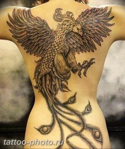 фото идеи тату феникс 18.12.2018 №534 - photo ideas tattoo phoenix - tattoo-photo.ru