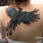 фото идеи тату феникс 18.12.2018 №539 - photo ideas tattoo phoenix - tattoo-photo.ru