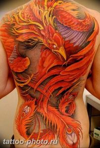 фото идеи тату феникс 18.12.2018 №544 - photo ideas tattoo phoenix - tattoo-photo.ru