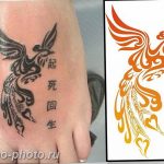 фото идеи тату феникс 18.12.2018 №547 - photo ideas tattoo phoenix - tattoo-photo.ru