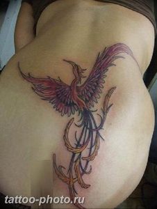 фото идеи тату феникс 18.12.2018 №548 - photo ideas tattoo phoenix - tattoo-photo.ru