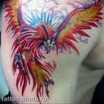 фото идеи тату феникс 18.12.2018 №551 - photo ideas tattoo phoenix - tattoo-photo.ru