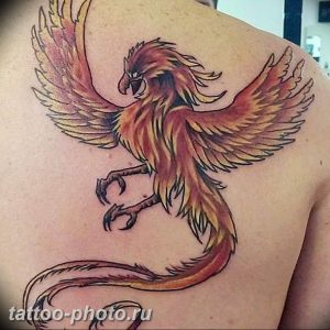 фото идеи тату феникс 18.12.2018 №555 - photo ideas tattoo phoenix - tattoo-photo.ru