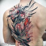 фото идеи тату феникс 18.12.2018 №556 - photo ideas tattoo phoenix - tattoo-photo.ru