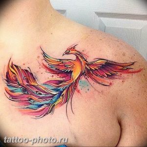 фото идеи тату феникс 18.12.2018 №564 - photo ideas tattoo phoenix - tattoo-photo.ru