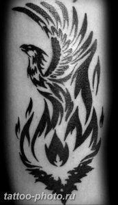фото идеи тату феникс 18.12.2018 №565 - photo ideas tattoo phoenix - tattoo-photo.ru
