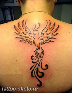 фото идеи тату феникс 18.12.2018 №568 - photo ideas tattoo phoenix - tattoo-photo.ru