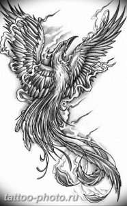 фото идеи тату феникс 18.12.2018 №571 - photo ideas tattoo phoenix - tattoo-photo.ru