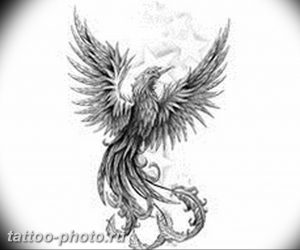 фото идеи тату феникс 18.12.2018 №575 - photo ideas tattoo phoenix - tattoo-photo.ru