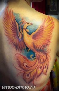 фото идеи тату феникс 18.12.2018 №579 - photo ideas tattoo phoenix - tattoo-photo.ru