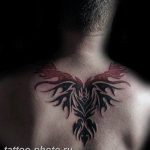 фото идеи тату феникс 18.12.2018 №582 - photo ideas tattoo phoenix - tattoo-photo.ru