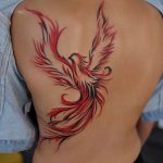 фото идеи тату феникс 18.12.2018 №586 - photo ideas tattoo phoenix - tattoo-photo.ru