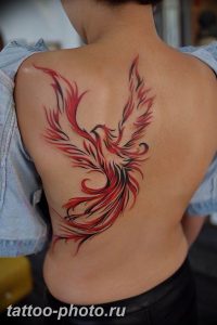 фото идеи тату феникс 18.12.2018 №586 - photo ideas tattoo phoenix - tattoo-photo.ru