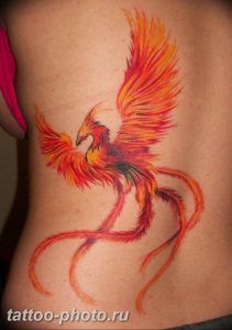 фото идеи тату феникс 18.12.2018 №587 - photo ideas tattoo phoenix - tattoo-photo.ru