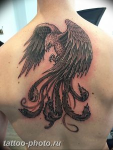 фото идеи тату феникс 18.12.2018 №590 - photo ideas tattoo phoenix - tattoo-photo.ru