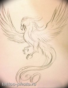 фото идеи тату феникс 18.12.2018 №592 - photo ideas tattoo phoenix - tattoo-photo.ru