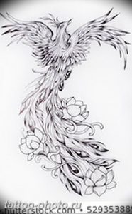фото идеи тату феникс 18.12.2018 №594 - photo ideas tattoo phoenix - tattoo-photo.ru