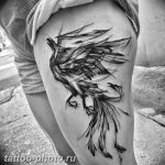 фото идеи тату феникс 18.12.2018 №597 - photo ideas tattoo phoenix - tattoo-photo.ru