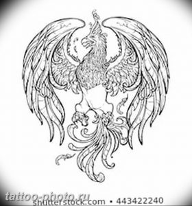фото идеи тату феникс 18.12.2018 №609 - photo ideas tattoo phoenix - tattoo-photo.ru