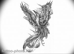 фото идеи тату феникс 18.12.2018 №610 - photo ideas tattoo phoenix - tattoo-photo.ru