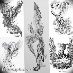 фото идеи тату феникс 18.12.2018 №618 - photo ideas tattoo phoenix - tattoo-photo.ru