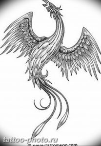 фото идеи тату феникс 18.12.2018 №623 - photo ideas tattoo phoenix - tattoo-photo.ru
