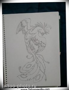 фото идеи тату феникс 18.12.2018 №637 - photo ideas tattoo phoenix - tattoo-photo.ru