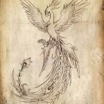 фото идеи тату феникс 18.12.2018 №640 - photo ideas tattoo phoenix - tattoo-photo.ru