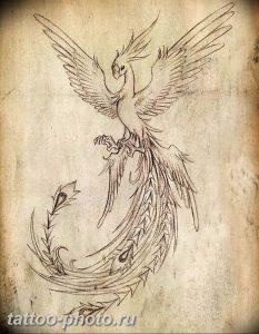 фото идеи тату феникс 18.12.2018 №640 - photo ideas tattoo phoenix - tattoo-photo.ru