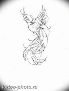фото идеи тату феникс 18.12.2018 №642 - photo ideas tattoo phoenix - tattoo-photo.ru