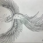 фото идеи тату феникс 18.12.2018 №645 - photo ideas tattoo phoenix - tattoo-photo.ru