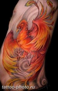фото идеи тату феникс 18.12.2018 №648 - photo ideas tattoo phoenix - tattoo-photo.ru