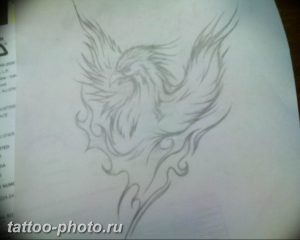 фото идеи тату феникс 18.12.2018 №649 - photo ideas tattoo phoenix - tattoo-photo.ru