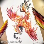 фото идеи тату феникс 18.12.2018 №667 - photo ideas tattoo phoenix - tattoo-photo.ru