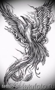 фото идеи тату феникс 18.12.2018 №671 - photo ideas tattoo phoenix - tattoo-photo.ru