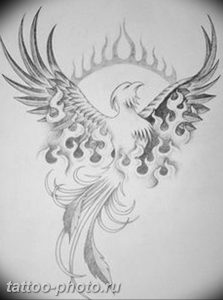 фото идеи тату феникс 18.12.2018 №673 - photo ideas tattoo phoenix - tattoo-photo.ru