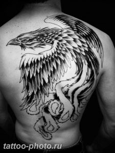 фото идеи тату феникс 18.12.2018 №680 - photo ideas tattoo phoenix - tattoo-photo.ru