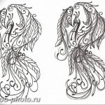 фото идеи тату феникс 18.12.2018 №689 - photo ideas tattoo phoenix - tattoo-photo.ru