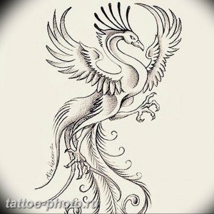 фото идеи тату феникс 18.12.2018 №690 - photo ideas tattoo phoenix - tattoo-photo.ru