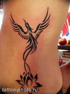 фото идеи тату феникс 18.12.2018 №692 - photo ideas tattoo phoenix - tattoo-photo.ru