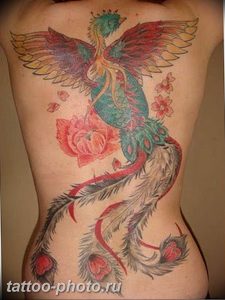 фото идеи тату феникс 18.12.2018 №700 - photo ideas tattoo phoenix - tattoo-photo.ru