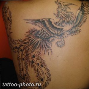 фото идеи тату феникс 18.12.2018 №701 - photo ideas tattoo phoenix - tattoo-photo.ru