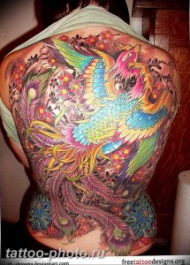 фото идеи тату феникс 18.12.2018 №703 - photo ideas tattoo phoenix - tattoo-photo.ru