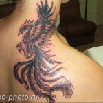 фото идеи тату феникс 18.12.2018 №704 - photo ideas tattoo phoenix - tattoo-photo.ru