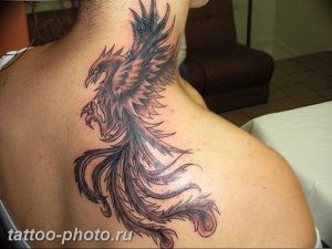 фото идеи тату феникс 18.12.2018 №704 - photo ideas tattoo phoenix - tattoo-photo.ru