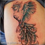 фото идеи тату феникс 18.12.2018 №707 - photo ideas tattoo phoenix - tattoo-photo.ru