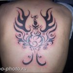 фото идеи тату феникс 18.12.2018 №723 - photo ideas tattoo phoenix - tattoo-photo.ru