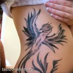 фото идеи тату феникс 18.12.2018 №724 - photo ideas tattoo phoenix - tattoo-photo.ru
